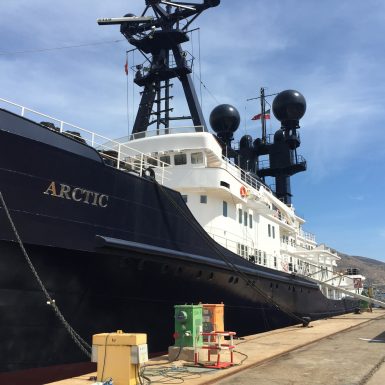Artic P 12