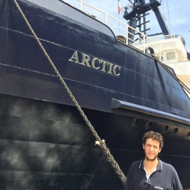 Artic P 11